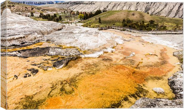  Minerva Terrace - Yellowstone Park Canvas Print by colin chalkley