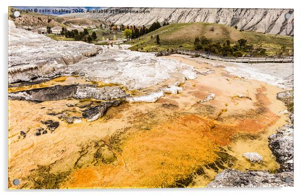  Minerva Terrace - Yellowstone Park Acrylic by colin chalkley