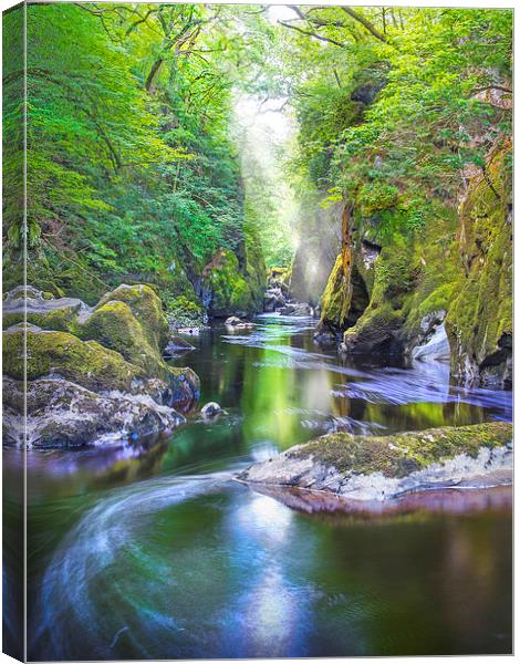  The Fairy Glen Gorge on The River Conwy Canvas Print by Mal Bray