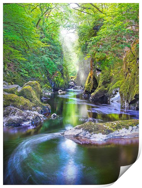  The Fairy Glen Gorge on The River Conwy Print by Mal Bray