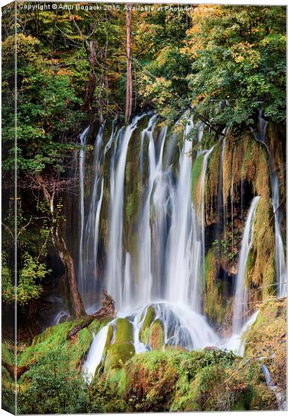 Waterfall in Autumn Forest Canvas Print by Artur Bogacki