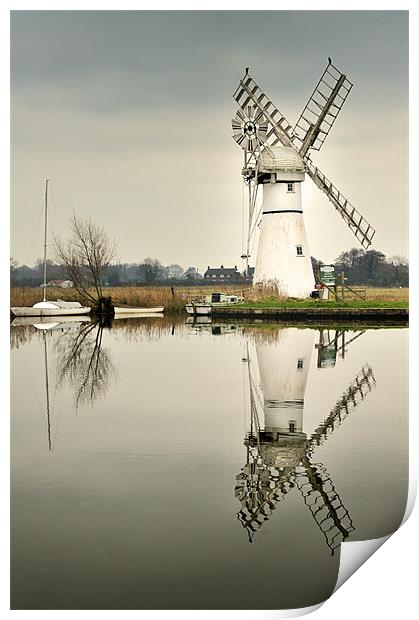 Thurne Mill in January Print by Stephen Mole