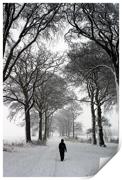 Stepping into Winter Print by john joyce