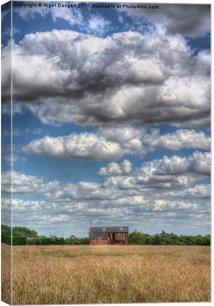  Grain Barn and Barley Field Canvas Print by Nigel Bangert