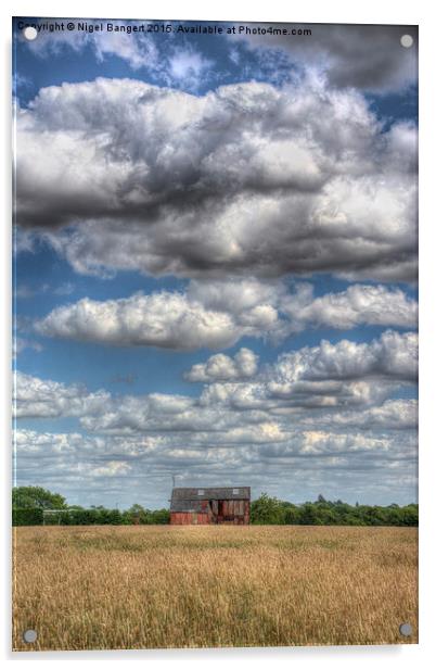  Grain Barn and Barley Field Acrylic by Nigel Bangert