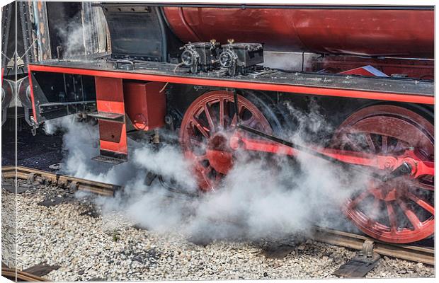 Letting Off Steam Canvas Print by Steve Purnell