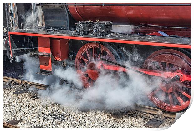 Letting Off Steam Print by Steve Purnell