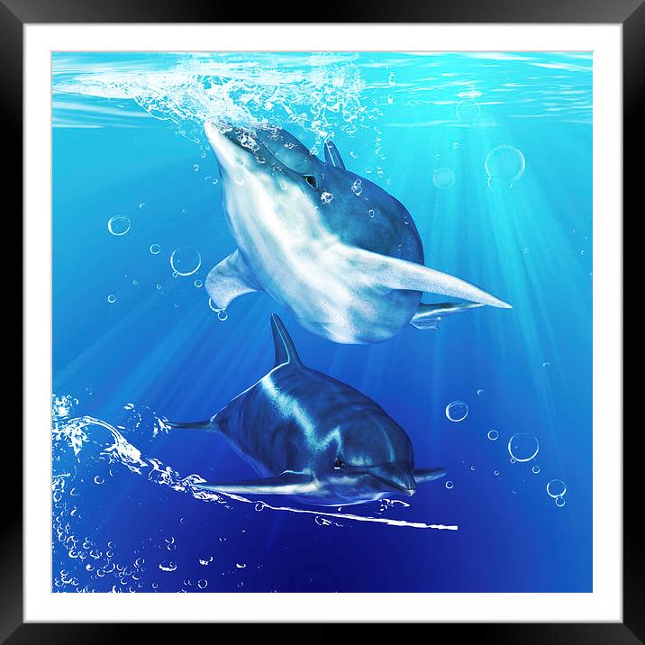 "Aquatic Harmony" Dolphin Wall Art Framed Mounted Print by Tanya Hall