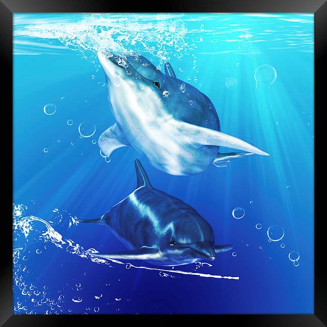 "Aquatic Harmony" Dolphin Wall Art Framed Print by Tanya Hall