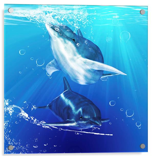 "Aquatic Harmony" Dolphin Wall Art Acrylic by Tanya Hall