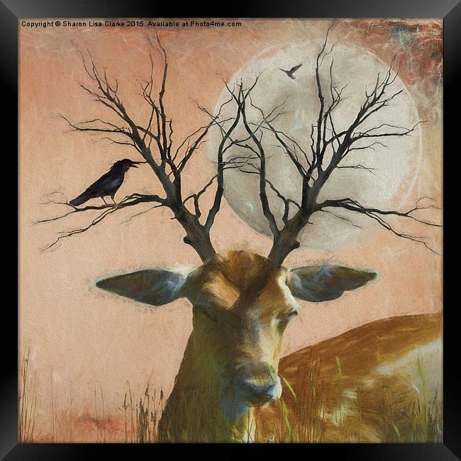  Goodnight Deer Framed Print by Sharon Lisa Clarke