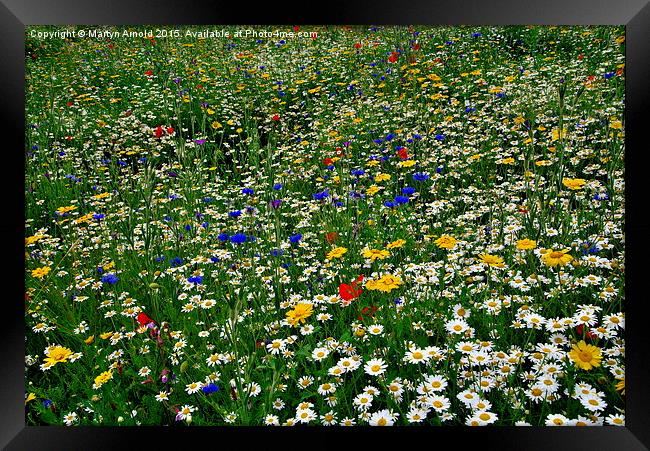  Wildflower Meadow Framed Print by Martyn Arnold