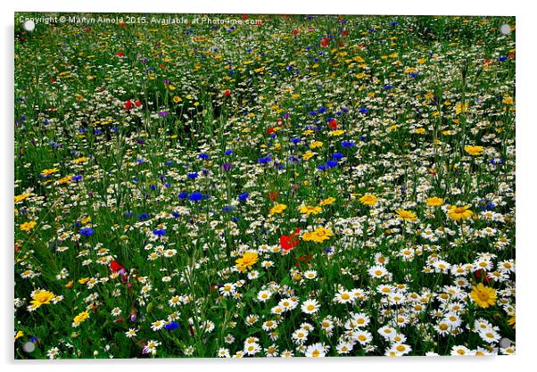  Wildflower Meadow Acrylic by Martyn Arnold