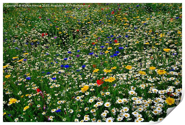  Wildflower Meadow Print by Martyn Arnold