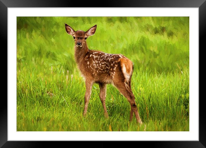 Bambi Framed Mounted Print by Sam Smith