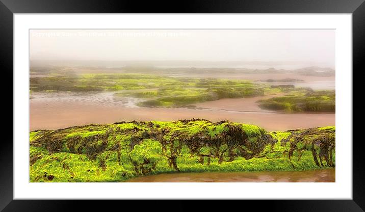  Low Tide in North Berwick Framed Mounted Print by Gisela Scheffbuch