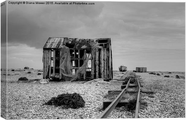  Dungeness  Canvas Print by Diana Mower