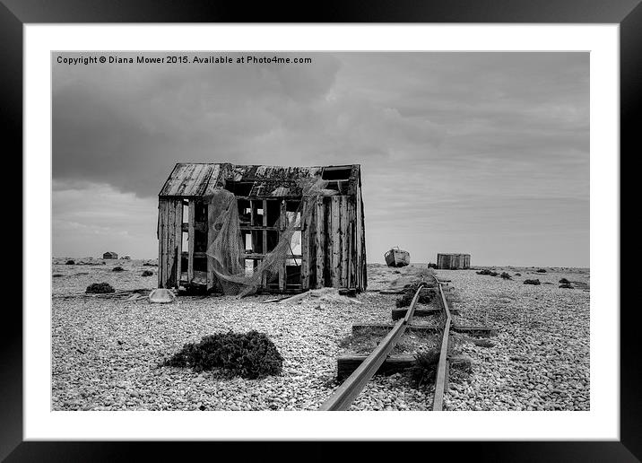 Dungeness  Framed Mounted Print by Diana Mower