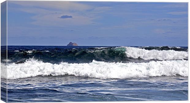 Double Wave Canvas Print by Mike Gorton