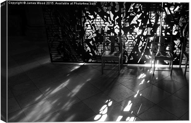  Light and Shadows Canvas Print by James Wood