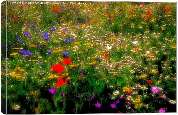  Dreamy Wildflowers Canvas Print by Martyn Arnold