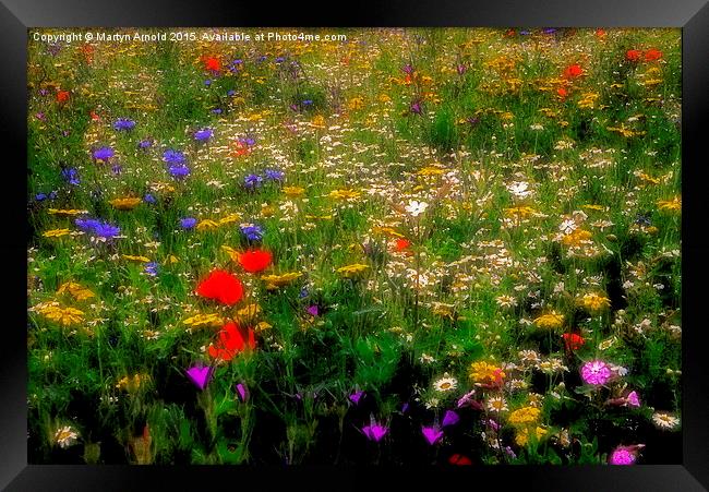  Dreamy Wildflowers Framed Print by Martyn Arnold