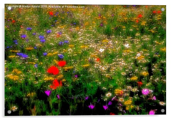  Dreamy Wildflowers Acrylic by Martyn Arnold