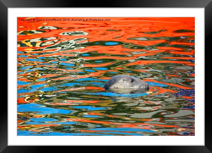  Swimming in Colourful Water Framed Mounted Print by Gisela Scheffbuch