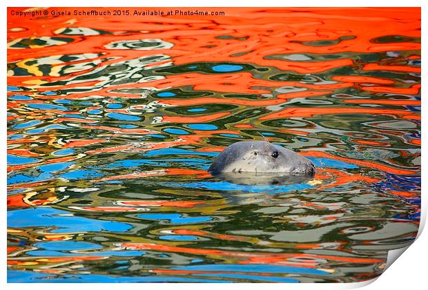  Swimming in Colourful Water Print by Gisela Scheffbuch