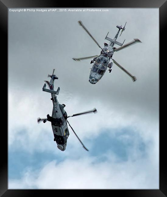 Agusta Westland Lynx Wildcat &quot; The Black Cats Framed Print by Philip Hodges aFIAP ,