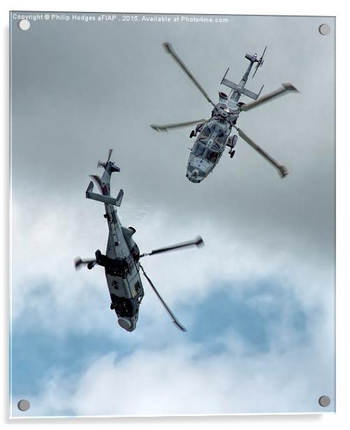 Agusta Westland Lynx Wildcat &quot; The Black Cats Acrylic by Philip Hodges aFIAP ,