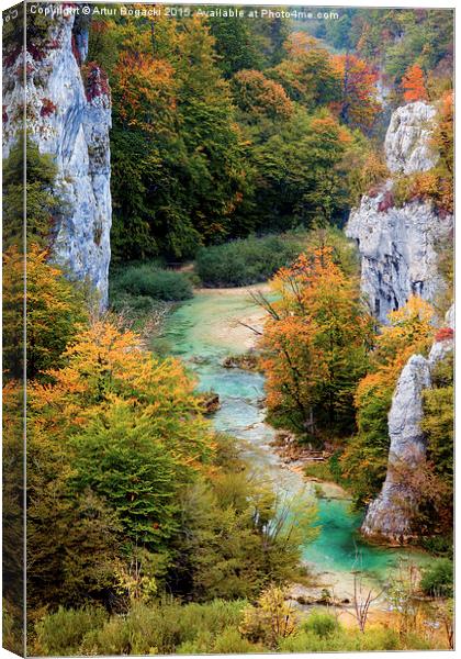 Valley Landscape in Autumn Canvas Print by Artur Bogacki