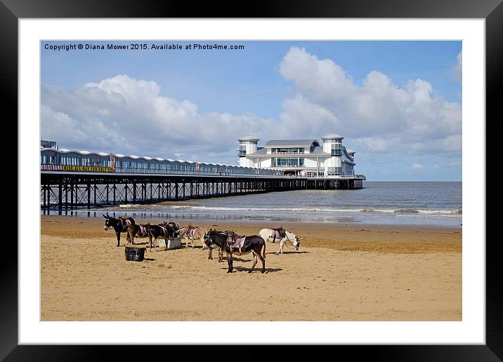  Weston Super Mare Donkeys on the Beach Framed Mounted Print by Diana Mower