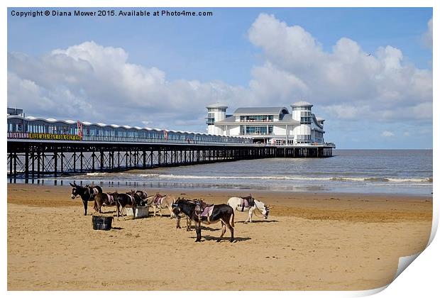  Weston Super Mare Donkeys on the Beach Print by Diana Mower