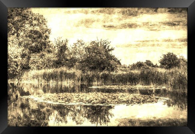 The Lily Pond Vintage Framed Print by David Pyatt