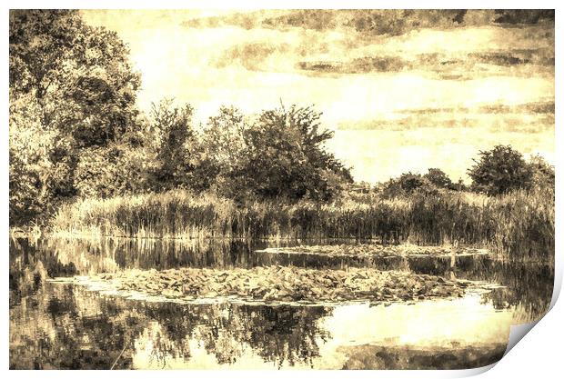The Lily Pond Vintage Print by David Pyatt
