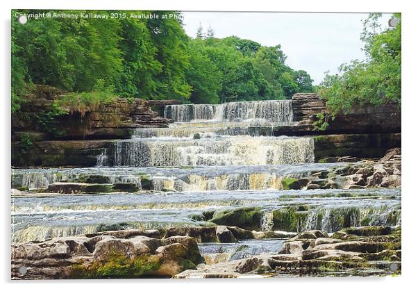  AYSGARTH FALLS Acrylic by Anthony Kellaway