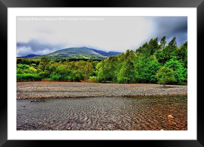  Forest Of Green & Fresh Cold waters  Framed Mounted Print by Marie Castagnoli