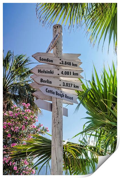 Signpost  Print by Valerie Paterson
