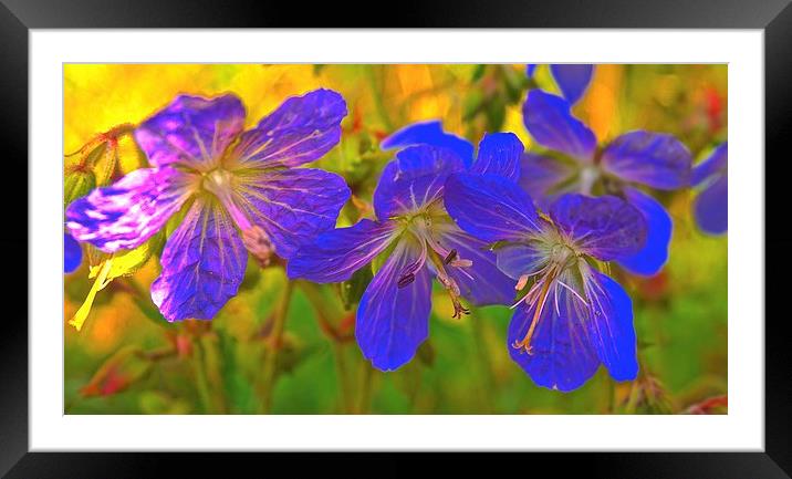 Retro little purple flowers  Framed Mounted Print by Sue Bottomley