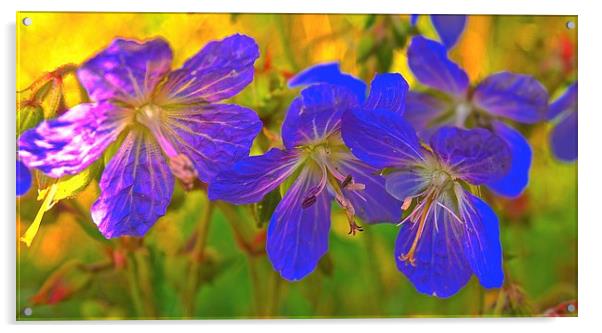 Retro little purple flowers  Acrylic by Sue Bottomley