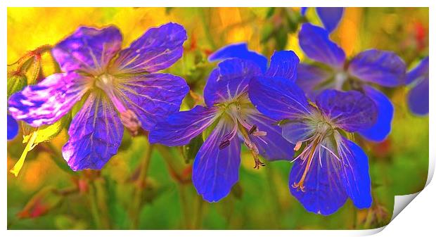 Retro little purple flowers  Print by Sue Bottomley