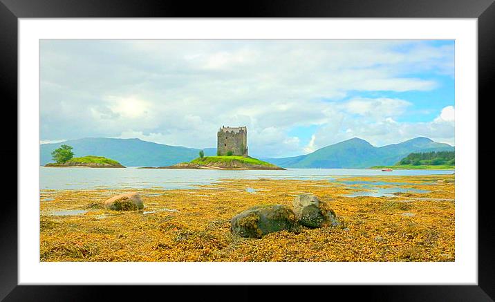 Majestic Scottish Castle on the Waterfront argyll  Framed Mounted Print by dale rys (LP)