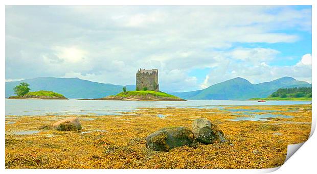 Majestic Scottish Castle on the Waterfront argyll  Print by dale rys (LP)