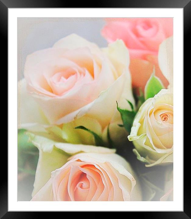  Love roses .. Framed Mounted Print by Rosanna Zavanaiu