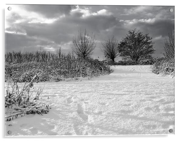 B&W Snow Scene Acrylic by Paul Macro