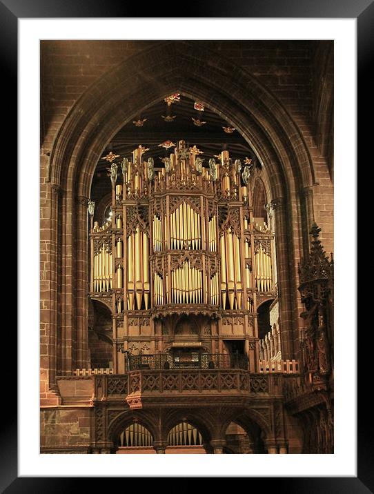 Chester Cathedral Framed Mounted Print by David French