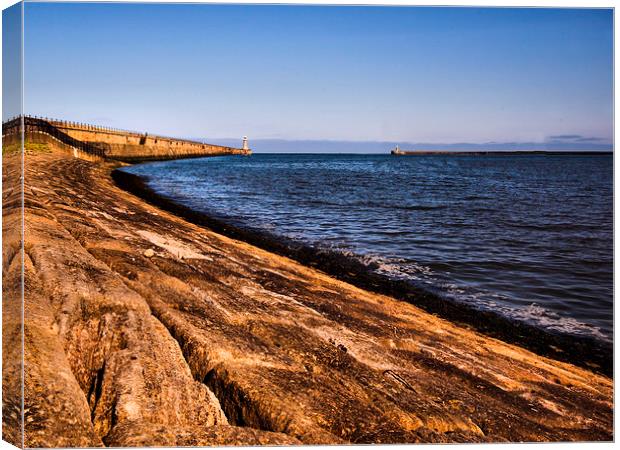  Tynemouth Haven Canvas Print by Alexander Perry