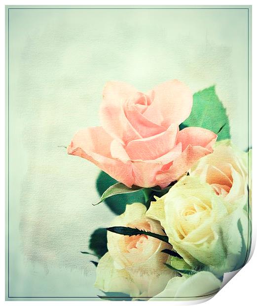 Rose Delights . Print by Rosanna Zavanaiu