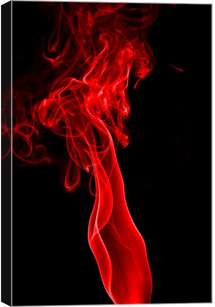 Red Two Canvas Print by Steve Purnell